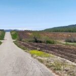 2025年春　群馬から山と海と快走を求めるバイクツーリング　群馬-長野編