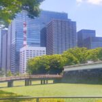 2025夏、関東鉄道ツーリング 東京から帰宅編 -森林公園16時20分着Fライナーでは遅かった-
